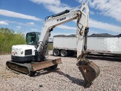 Salvage trucks for sale at Avon, MN auction: 2014 Bobcat Mini Excav