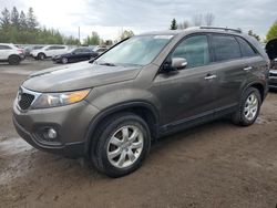 Salvage cars for sale at Bowmanville, ON auction: 2013 KIA Sorento LX