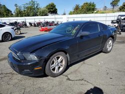 Vehiculos salvage en venta de Copart Vallejo, CA: 2014 Ford Mustang