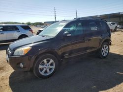 Salvage cars for sale at Colorado Springs, CO auction: 2012 Toyota Rav4 Limited