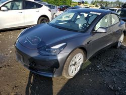 Salvage cars for sale at Windsor, NJ auction: 2023 Tesla Model 3