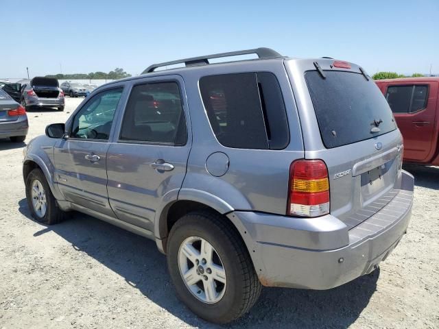 2007 Ford Escape HEV