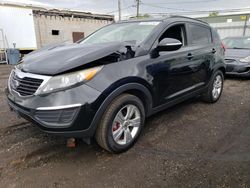 Vehiculos salvage en venta de Copart New Britain, CT: 2011 KIA Sportage LX