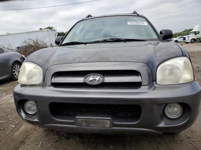 2006 Hyundai Santa FE GLS