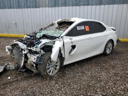 Carros salvage sin ofertas aún a la venta en subasta: 2023 Toyota Camry LE