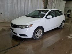 Salvage cars for sale at Central Square, NY auction: 2011 KIA Forte EX