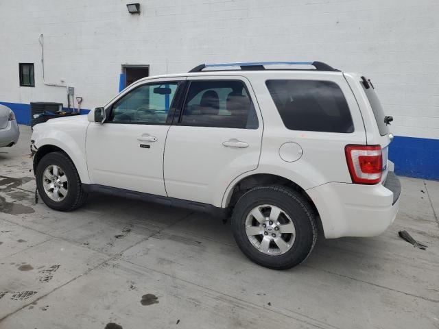 2009 Ford Escape Limited