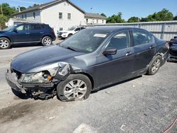 Salvage cars for sale at York Haven, PA auction: 2010 Honda Accord LXP