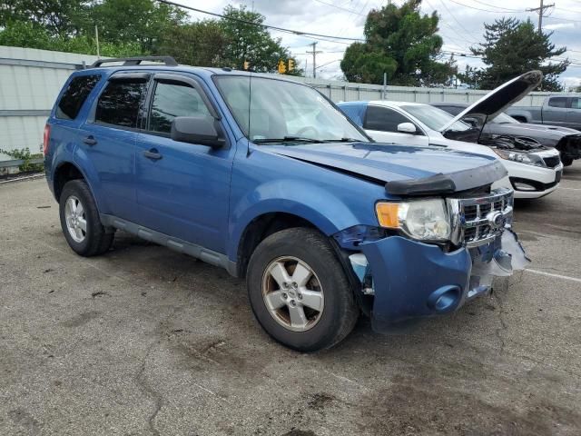 2010 Ford Escape XLT