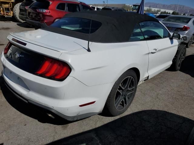 2019 Ford Mustang