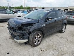 Ford Escape sel salvage cars for sale: 2013 Ford Escape SEL