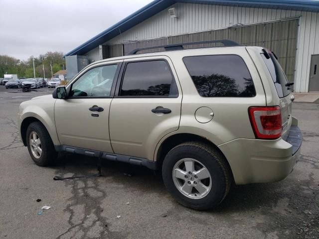 2012 Ford Escape XLT