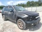 2007 Chevrolet Trailblazer LS