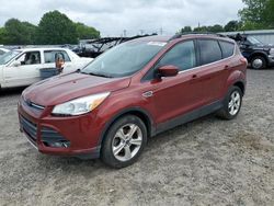 Salvage cars for sale at Mocksville, NC auction: 2016 Ford Escape SE