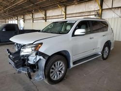 Salvage cars for sale at Phoenix, AZ auction: 2014 Lexus GX 460