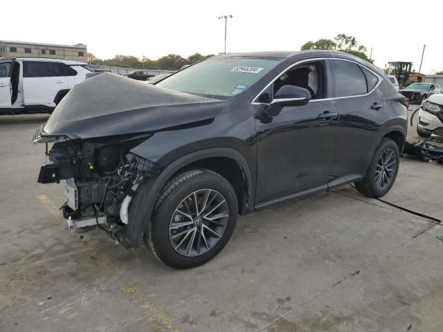 2022 Lexus NX 350