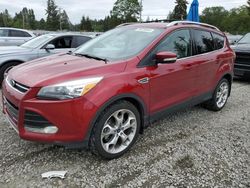 Salvage cars for sale at Graham, WA auction: 2014 Ford Escape Titanium