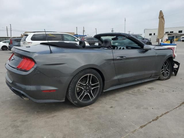 2019 Ford Mustang