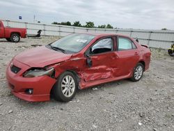 Salvage cars for sale from Copart Earlington, KY: 2010 Toyota Corolla Base