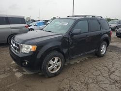 Ford Vehiculos salvage en venta: 2012 Ford Escape XLT