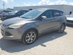 Salvage cars for sale at Jacksonville, FL auction: 2013 Ford Escape SEL