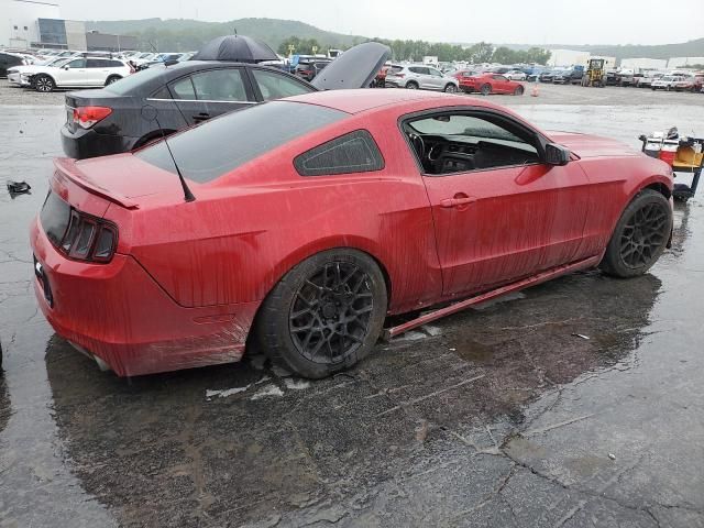 2013 Ford Mustang