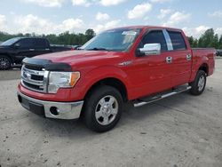Salvage cars for sale from Copart Lumberton, NC: 2013 Ford F150 Supercrew