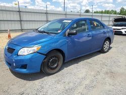 Salvage cars for sale from Copart Lumberton, NC: 2009 Toyota Corolla Base