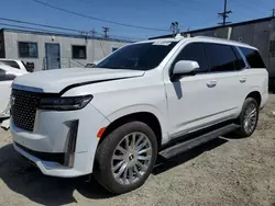 Salvage cars for sale at Los Angeles, CA auction: 2021 Cadillac Escalade Premium Luxury