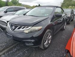 Salvage cars for sale at Grantville, PA auction: 2011 Nissan Murano Crosscabriolet