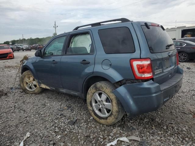 2011 Ford Escape XLT