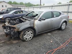 Salvage cars for sale at York Haven, PA auction: 2013 Dodge Avenger SE