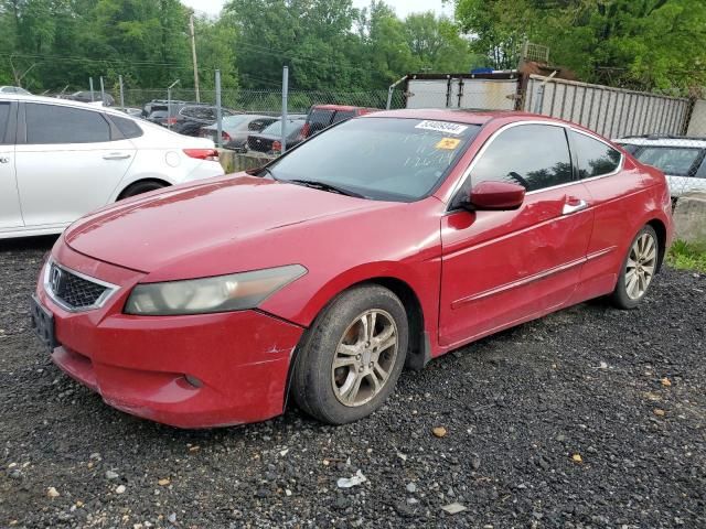 2008 Honda Accord EXL