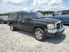 2005 Dodge Dakota SLT