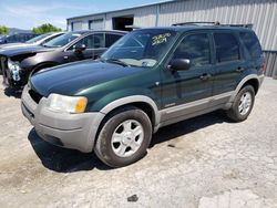 Salvage cars for sale at Chambersburg, PA auction: 2002 Ford Escape XLT