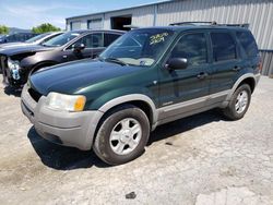 Ford salvage cars for sale: 2002 Ford Escape XLT