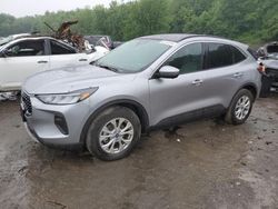 Salvage cars for sale at Marlboro, NY auction: 2023 Ford Escape Active