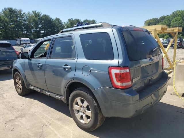 2011 Ford Escape Limited