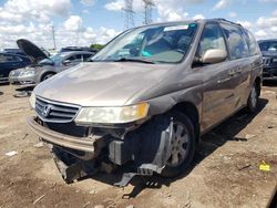 Salvage trucks for sale at Elgin, IL auction: 2004 Honda Odyssey EXL