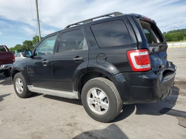 2010 Ford Escape XLT