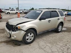 Ford Escape xlt salvage cars for sale: 2010 Ford Escape XLT