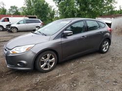 Ford salvage cars for sale: 2014 Ford Focus SE