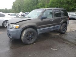 Salvage cars for sale from Copart Glassboro, NJ: 2007 Ford Escape XLT