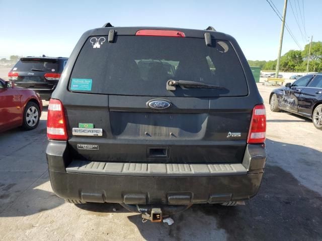 2010 Ford Escape XLT