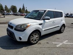 Salvage cars for sale from Copart Rancho Cucamonga, CA: 2013 KIA Soul +