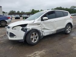 Salvage cars for sale at Florence, MS auction: 2014 Ford Escape SE
