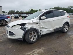 Ford salvage cars for sale: 2014 Ford Escape SE