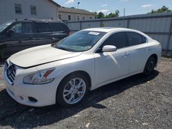 Salvage cars for sale at York Haven, PA auction: 2012 Nissan Maxima S