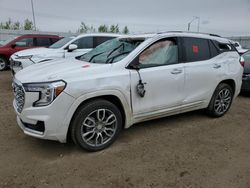 GMC salvage cars for sale: 2024 GMC Terrain Denali