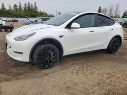 Salvage cars for sale from Copart Ontario Auction, ON: 2023 Tesla Model Y